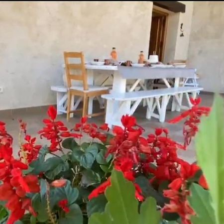 Vila Casa Namaste - Ortigosa Del Monte Exteriér fotografie