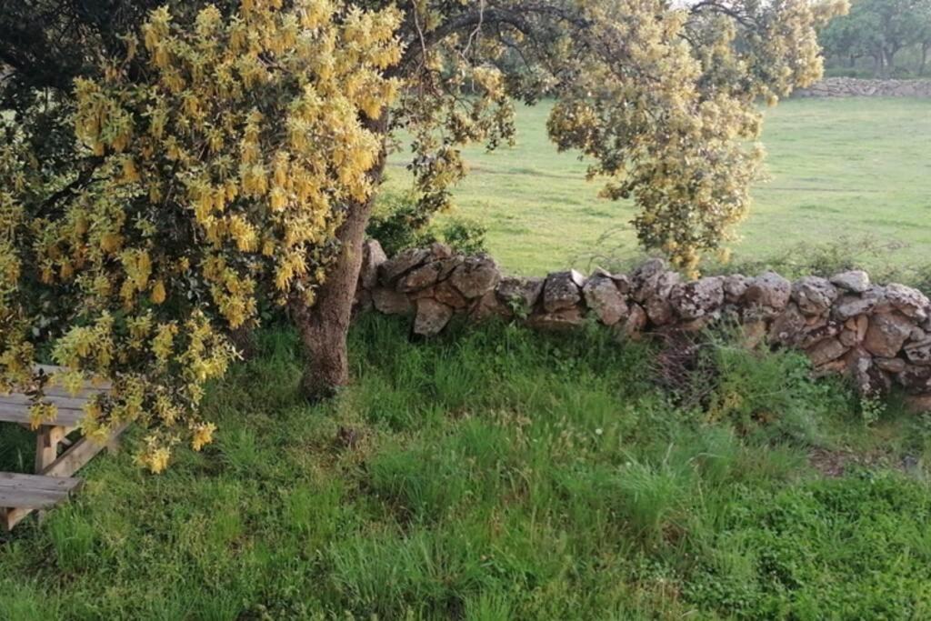Vila Casa Namaste - Ortigosa Del Monte Exteriér fotografie