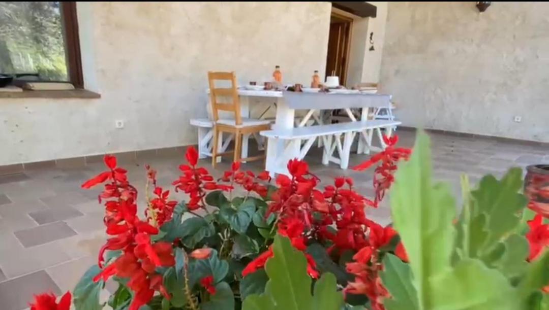 Vila Casa Namaste - Ortigosa Del Monte Exteriér fotografie